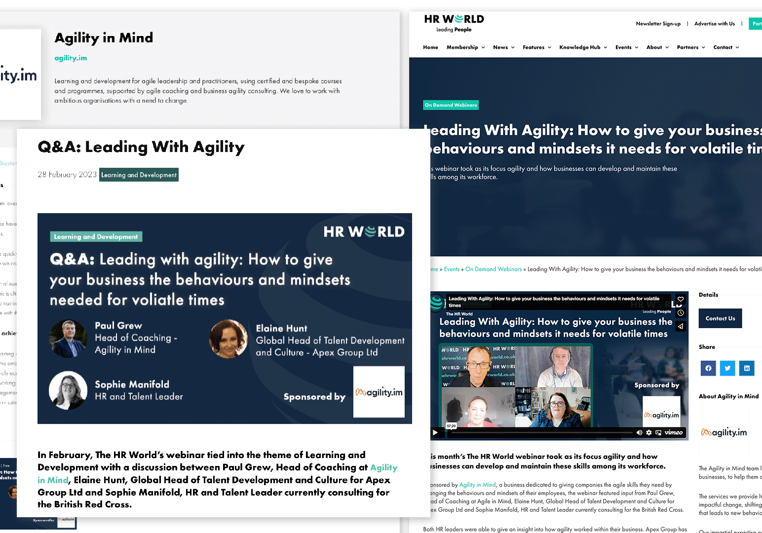 agility.im case study